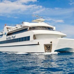 Nautilus Catamaran in Red Sea
