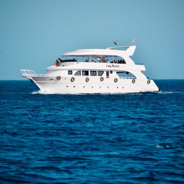 Privet Boat Trip Snorkeling in Red Sea
