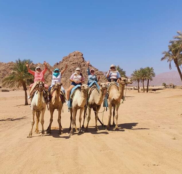 Camel ride Safari into the Desert2