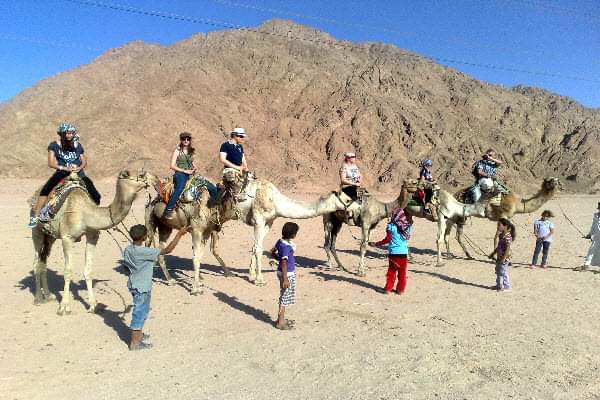 Camel ride Safari into the Desert3