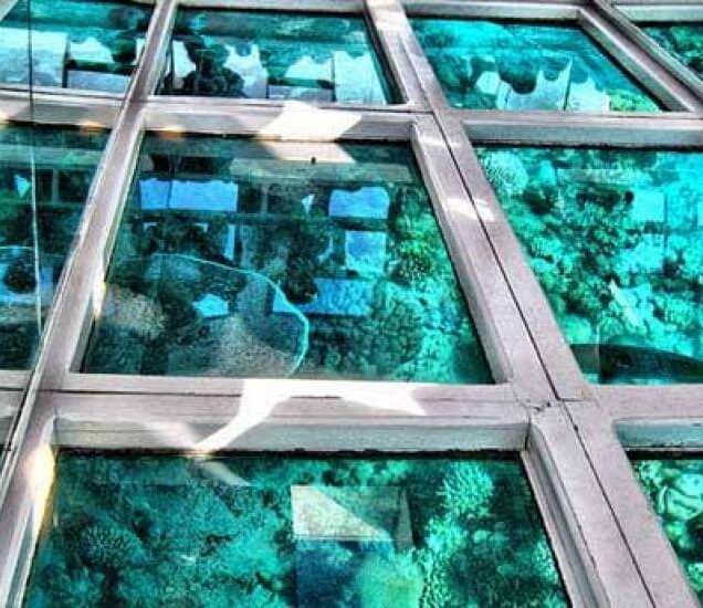 Glass bottom boat (3)