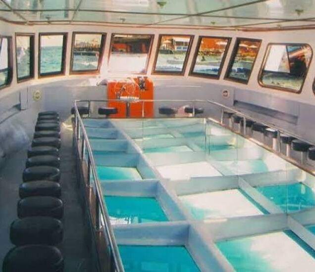 Glass bottom boat (4)