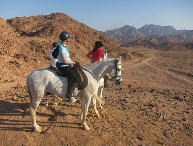 _Horse Riding Safari (3)