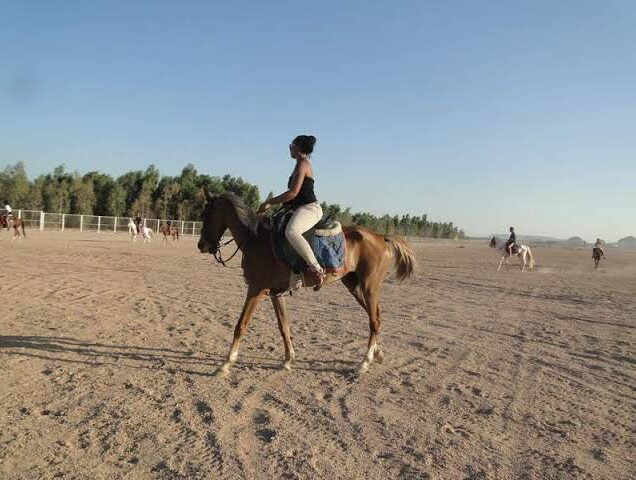_Horse Riding Safari (5)