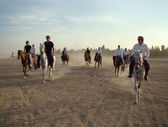 _Horse Riding Safari (6)