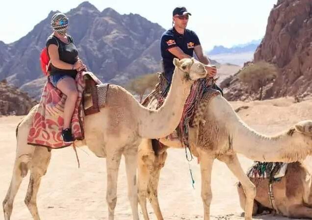 Quad Biking and Bedouin Night in sharm el Sheikh (6)