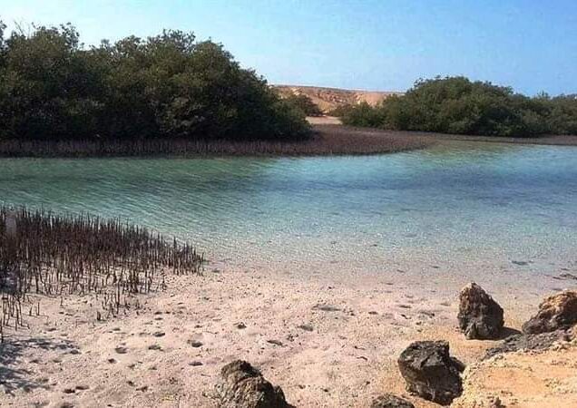 Ras Mohamed National Park by bus (1)