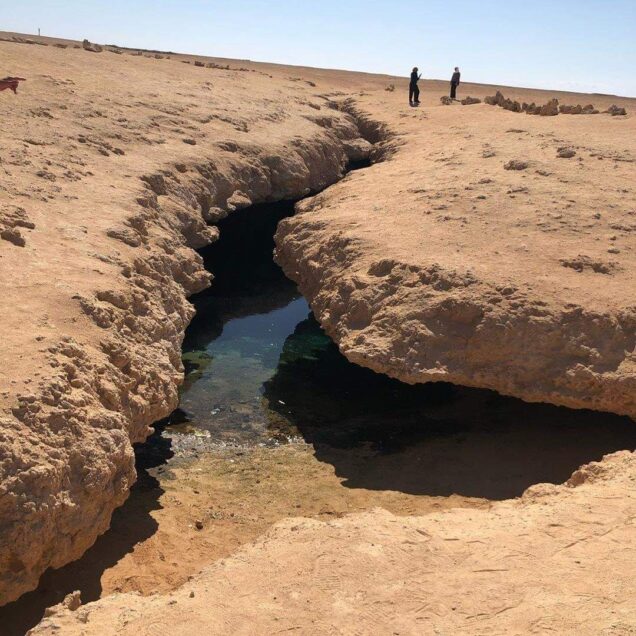 Ras Mohamed National Park by bus (5)