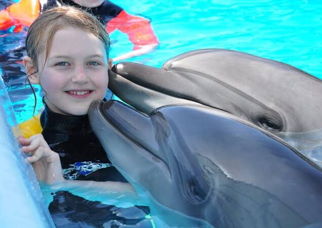 Swimming with Dolphins in Sharm el Sheikh (3)