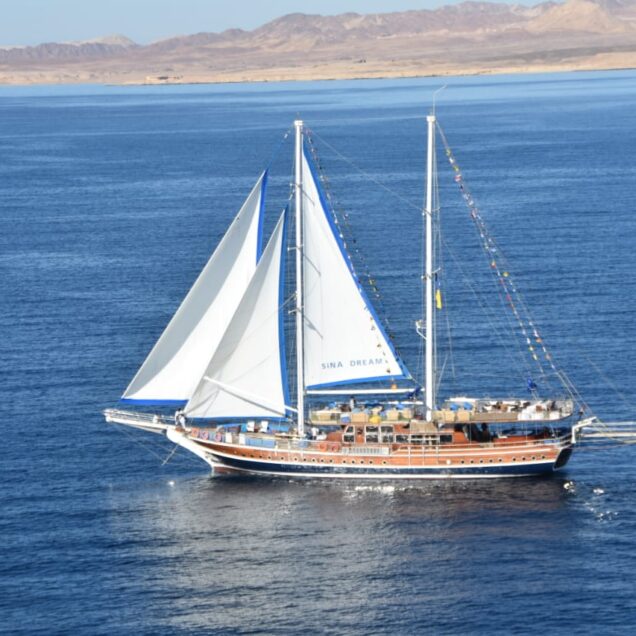 Sailing Boat Snorkeling Trip Sharm El Sheikh
